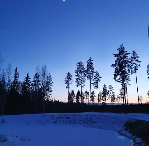 Muu, Laatulomat Juva